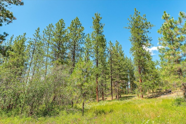 786X Arden Butte Rd, Colville, WA 99114 - photo 9
