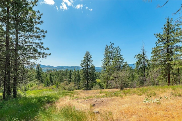 786X Arden Butte Rd, Colville, WA 99114 - photo 10