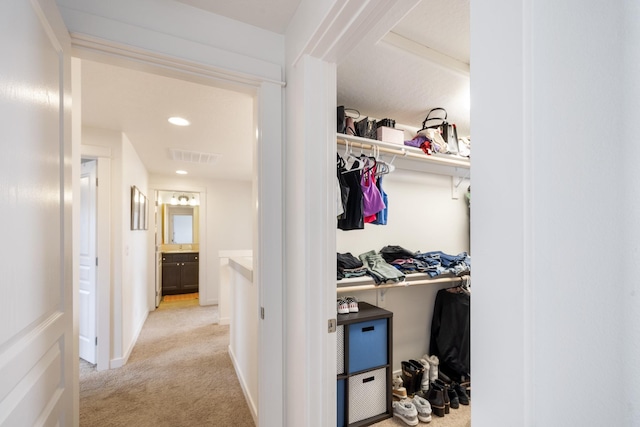 1024 W Staples Rd, Post Falls, ID 83854 - view of closet