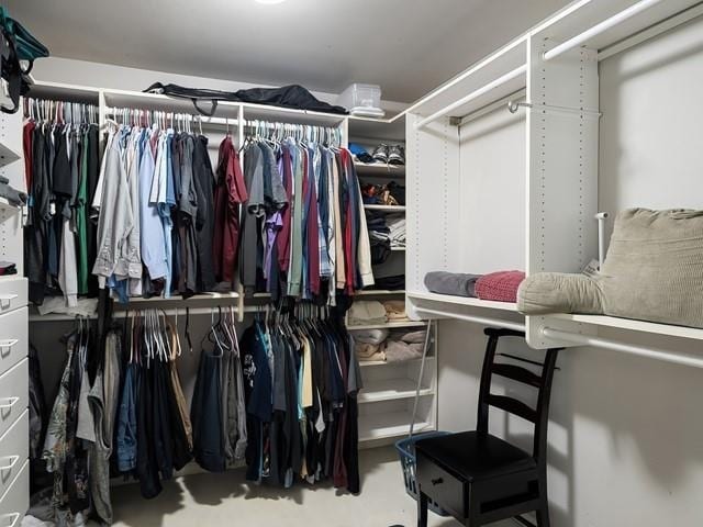 4332 S Greystone Ln, Spokane, WA 99223 - view of walk in closet