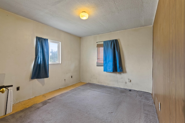 2510 N Rambo Rd, Spokane, WA 99224 - carpeted empty room featuring a textured ceiling