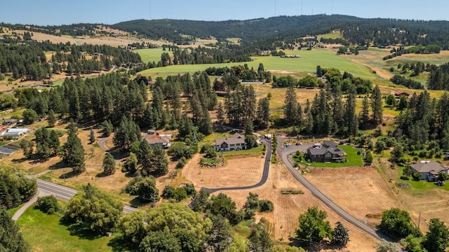7814 S Ellis Rd, Spokane, WA 99223 - aerial view of property and surrounding area