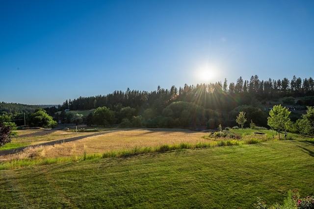 7814 S Ellis Rd, Spokane, WA 99223 - view of yard featuring a view of trees