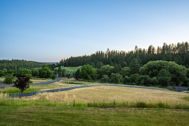 7814 S Ellis Rd, Spokane, WA 99223 - surrounding community featuring a view of trees