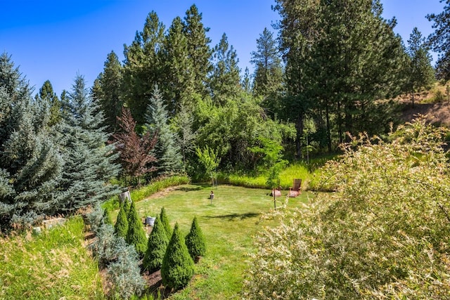 7814 S Ellis Rd, Spokane, WA 99223 - view of local wilderness