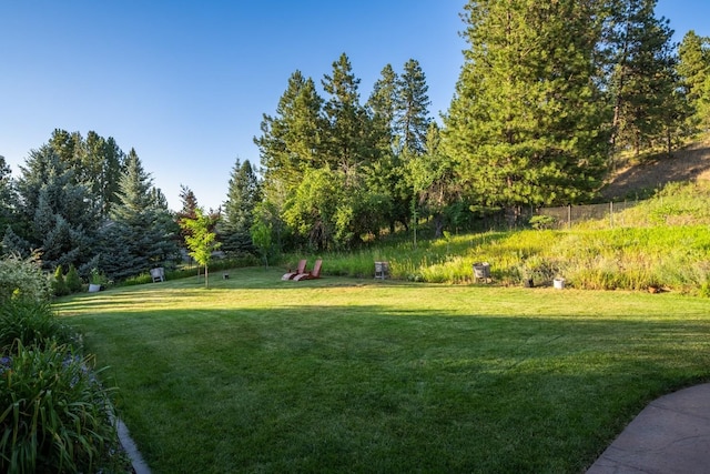 7814 S Ellis Rd, Spokane, WA 99223 - view of grassy yard