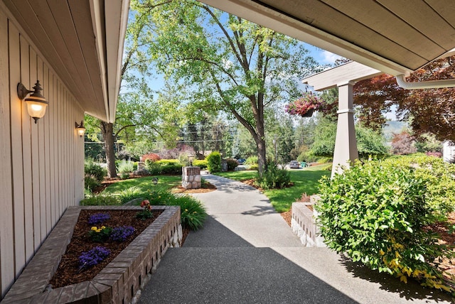 5321 Pinebrook Ct, Spokane, WA 99206 - view of green lawn with view of scattered trees