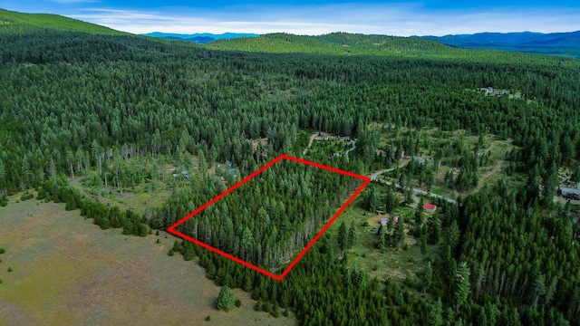 NKA Independence Rd, Newport, WA 99156 - photo 1