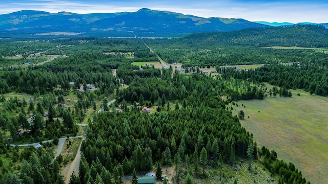NKA Independence Rd, Newport, WA 99156 - photo 11