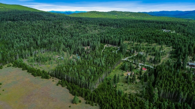 NKA Independence Rd, Newport, WA 99156 - photo 13