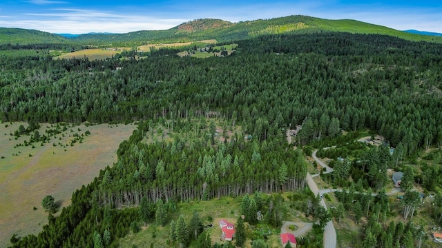 NKA Independence Rd, Newport, WA 99156 - photo 14