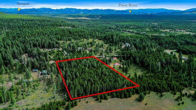 NKA Independence Rd, Newport, WA 99156 - photo 5