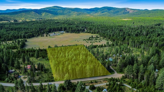 NKA Independence Rd, Newport, WA 99156 - photo 6