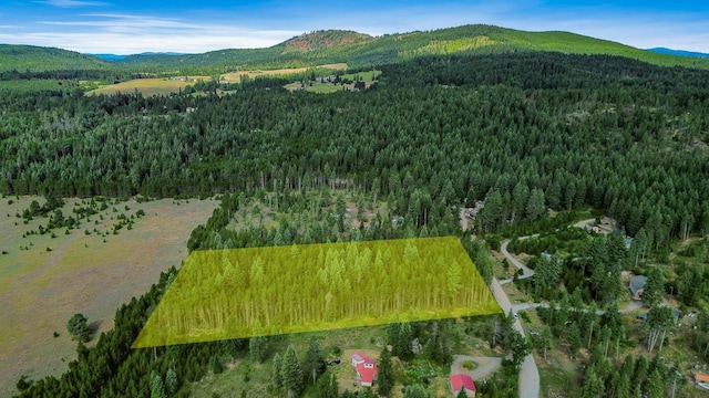 NKA Independence Rd, Newport, WA 99156 - photo 7