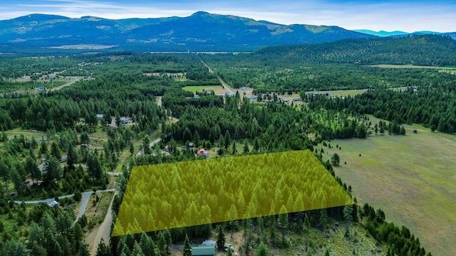 NKA Independence Rd, Newport, WA 99156 - photo 8