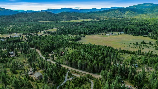 NKA Independence Rd, Newport, WA 99156 - photo 10