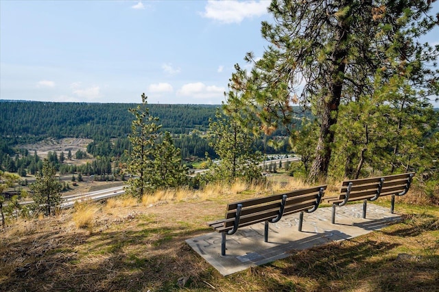 1501 S Maple St, Spokane, WA 99203 - surrounding community with a view of trees