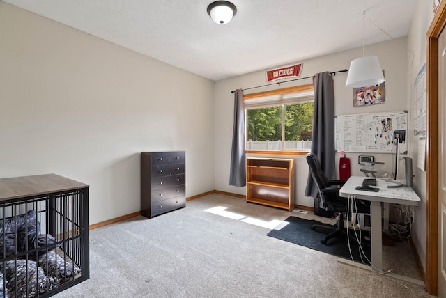 17110 E Daybreak Ln, Spokane Valley, WA 99016 - carpeted home office with baseboards