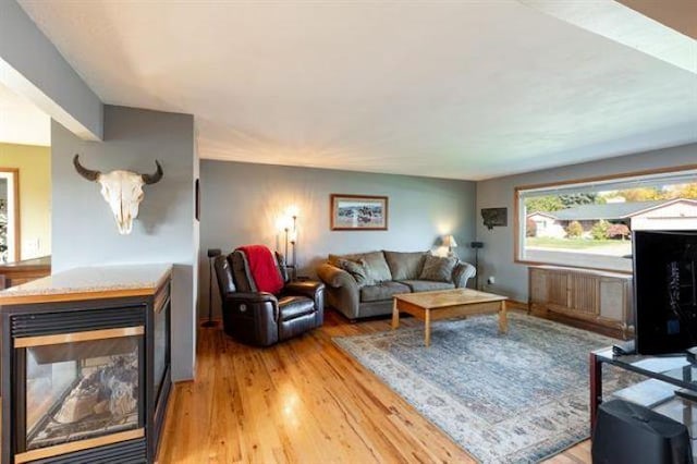 5801 N Drumheller St, Spokane, WA 99205 - living room featuring light wood-style floors