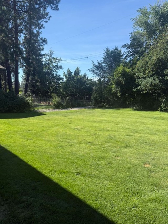 5801 N Drumheller St, Spokane, WA 99205 - view of green lawn