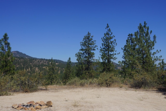 Lot24 Timber Bay Drive Lot 24A & B Timber Bay Rd, Davenport, WA 99122 - photo 11