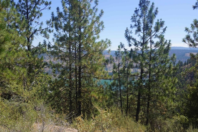 Lot24 Timber Bay Drive Lot 24A & B Timber Bay Rd, Davenport, WA 99122 - photo 12