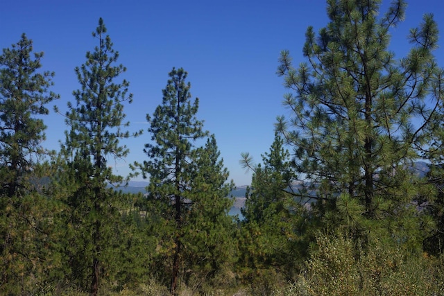 Lot24 Timber Bay Drive Lot 24A & B Timber Bay Rd, Davenport, WA 99122 - photo 15