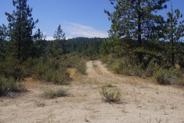 Lot24 Timber Bay Drive Lot 24A & B Timber Bay Rd, Davenport, WA 99122 - photo 18