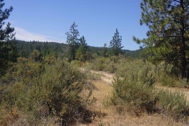 Lot24 Timber Bay Drive Lot 24A & B Timber Bay Rd, Davenport, WA 99122 - photo 19