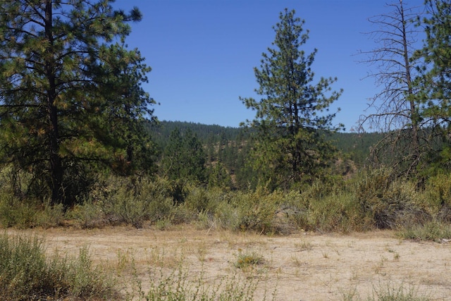 Lot24 Timber Bay Drive Lot 24A & B Timber Bay Rd, Davenport, WA 99122 - photo 20