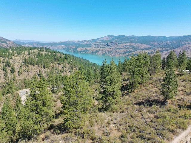 Lot24 Timber Bay Drive Lot 24A & B Timber Bay Rd, Davenport, WA 99122 - photo 3