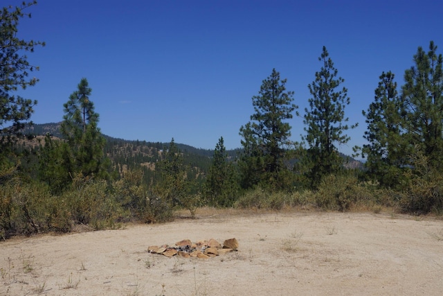 Lot24 Timber Bay Drive Lot 24A & B Timber Bay Rd, Davenport, WA 99122 - photo 21