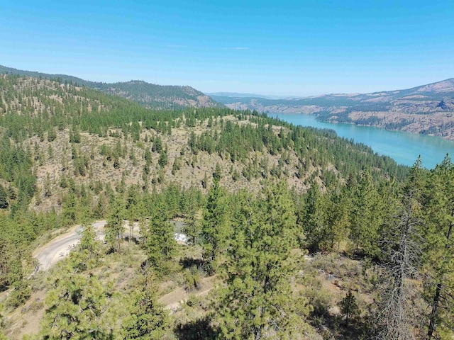 Lot24 Timber Bay Drive Lot 24A & B Timber Bay Rd, Davenport, WA 99122 - photo 22