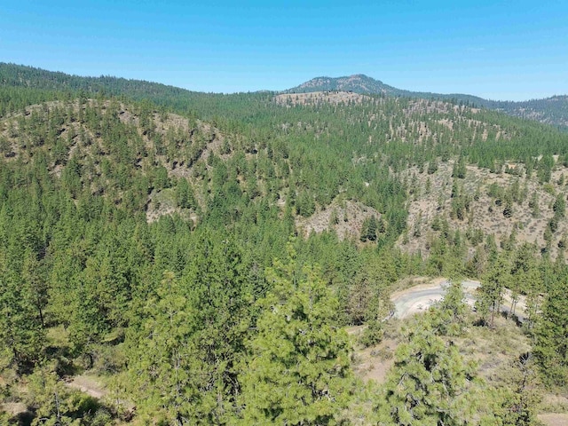 Lot24 Timber Bay Drive Lot 24A & B Timber Bay Rd, Davenport, WA 99122 - photo 23