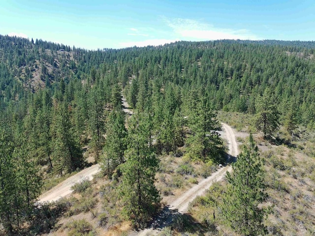 Lot24 Timber Bay Drive Lot 24A & B Timber Bay Rd, Davenport, WA 99122 - photo 24