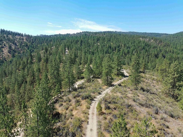 Lot24 Timber Bay Drive Lot 24A & B Timber Bay Rd, Davenport, WA 99122 - photo 25