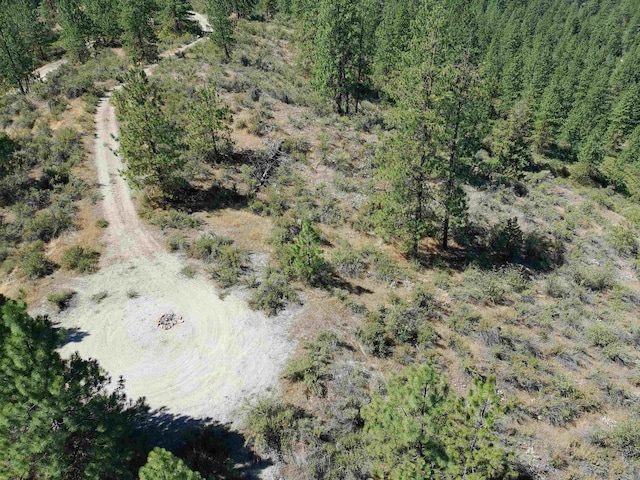 Lot24 Timber Bay Drive Lot 24A & B Timber Bay Rd, Davenport, WA 99122 - photo 29