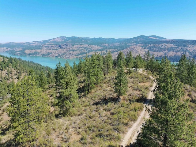 Lot24 Timber Bay Drive Lot 24A & B Timber Bay Rd, Davenport, WA 99122 - photo 4