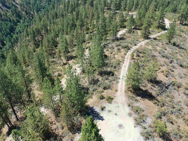 Lot24 Timber Bay Drive Lot 24A & B Timber Bay Rd, Davenport, WA 99122 - photo 32