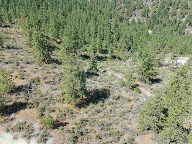Lot24 Timber Bay Drive Lot 24A & B Timber Bay Rd, Davenport, WA 99122 - photo 33