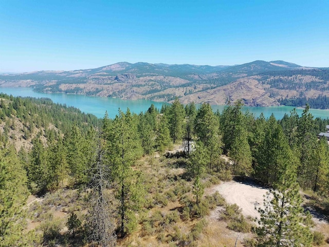 Lot24 Timber Bay Drive Lot 24A & B Timber Bay Rd, Davenport, WA 99122 - photo 5