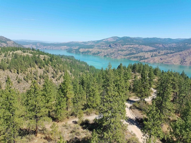 Lot24 Timber Bay Drive Lot 24A & B Timber Bay Rd, Davenport, WA 99122 - photo 6