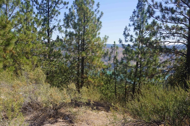 Lot24 Timber Bay Drive Lot 24A & B Timber Bay Rd, Davenport, WA 99122 - photo 8