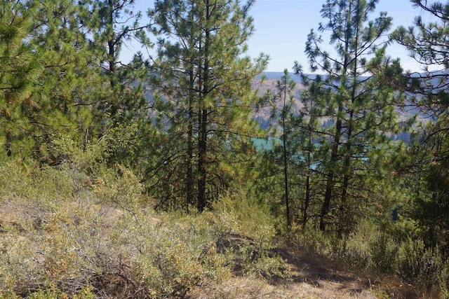 Lot24 Timber Bay Drive Lot 24A & B Timber Bay Rd, Davenport, WA 99122 - photo 10