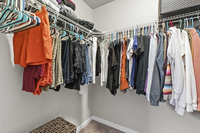 2373 N Colonial Rd, Liberty Lake, WA 99016 - spacious closet with carpet flooring