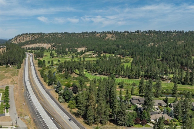 5916 S Division St, Spokane, WA 99224 - aerial overview of property's location with a main thoroughfare and a heavily wooded area