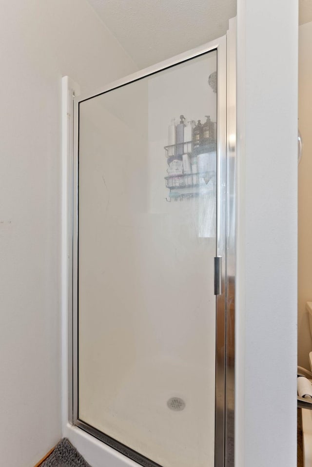 17813 N Lidgerwood St, Colbert, WA 99005 - bathroom featuring a stall shower