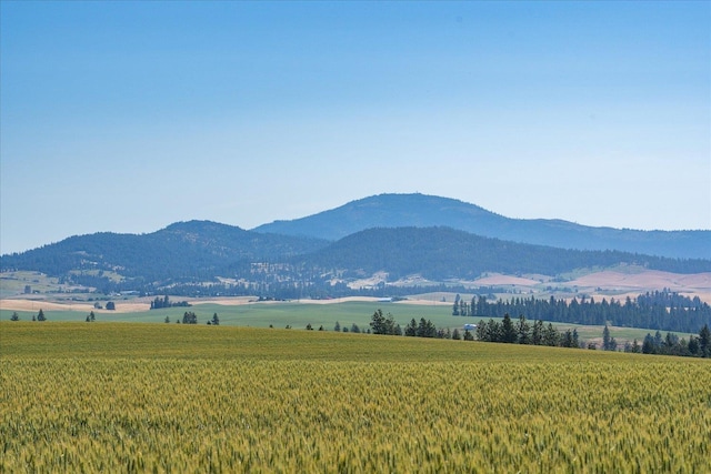 X E Baker Rd, Fairfield, WA 99012 - photo 27