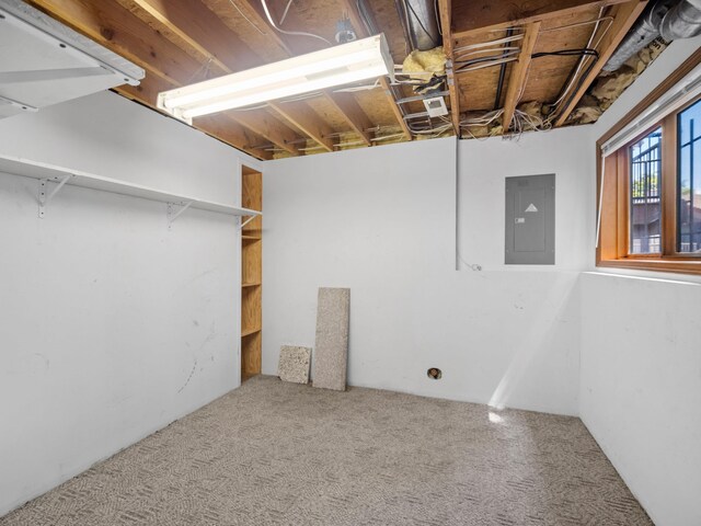 3808 S Alder Dr, Spokane, WA 99223 - basement featuring electric panel and carpet flooring
