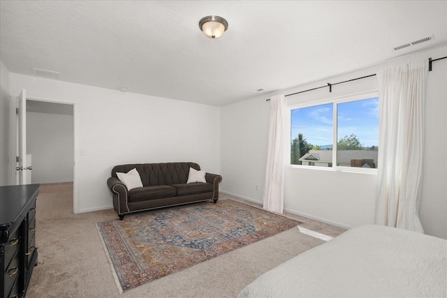 244 S Cameo Ave, Deer Park, WA 99006 - photo 20